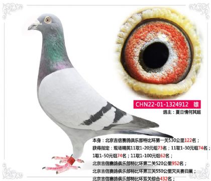 ��������������ֲ��رȻ���һ��530����122��  ��	