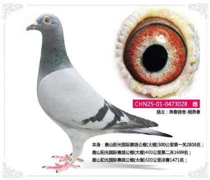 ��ɽ����������빫��(����)500�������1471��   ��