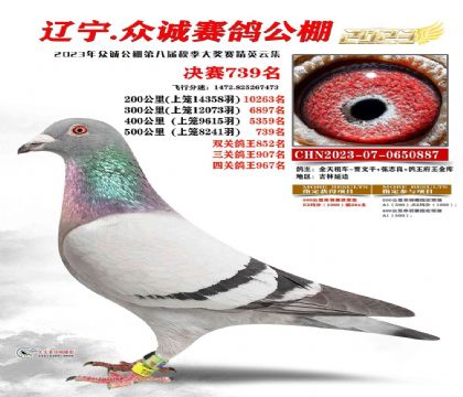 �����ڳ����빫��500�������739��   ��	