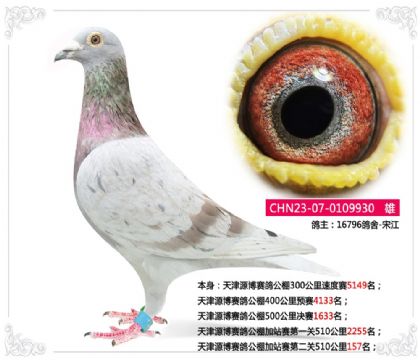 ���Դ�����빫���վ���ڶ���510����157��   ��	