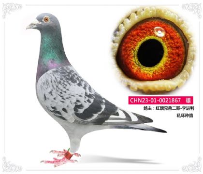 �����ֵܶ���-�����   ˽���ָ�867   ��