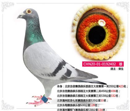 ����ͨ�������߻�������ֲ�320����10��  ��	