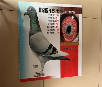 ����Ƭ��뷢��