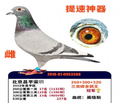 ���������������ھ�