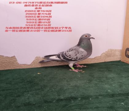 ���22��ɣ��ʿ��������312��351ĸ