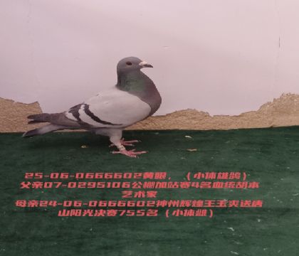 ��ǿ��4��������ˬ�������755��С����