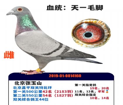 ��һ���ԣ�˫�ظ���