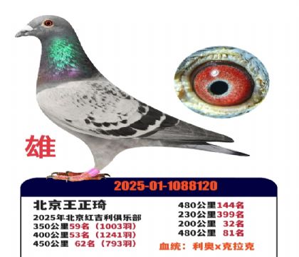 Ҽ�Ÿ��������x����