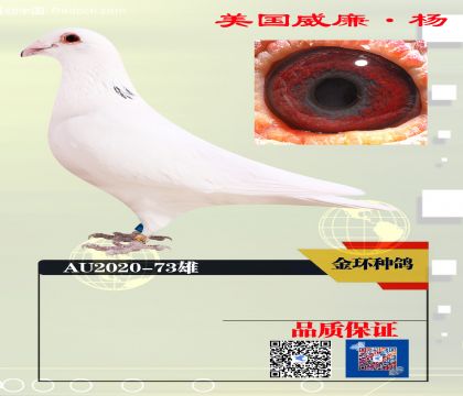 ���ָ� 550����ھ�ֱ��73