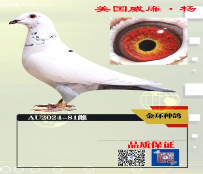 ���ָ� 550����ھ���Ѫ81