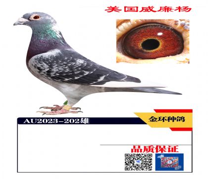 ���ָ�  ������ھ���202