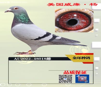 ���ָ� ����550����ھ���Ů018