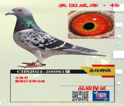 ���ָ� �����ھ�ֱϵ��961