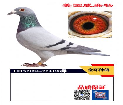 ���ָ�  ������ھ���Ѫ126