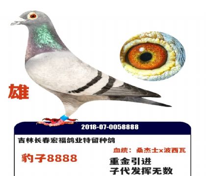 �����긣8888