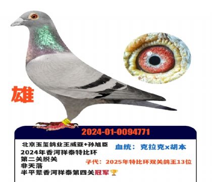 �����̩�ھ�ƽ��