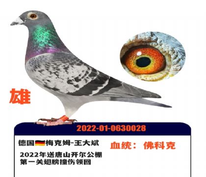 �¹�÷��ķ-�����