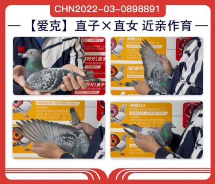 ������ҵ----����891   ��	