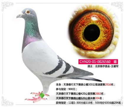 �������������빫��520�������204��   ��	