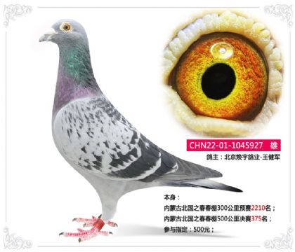 ���ɹű���֮������500�������375��   ��	