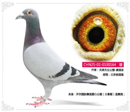 �����������������-����ȫ----������������164   ��