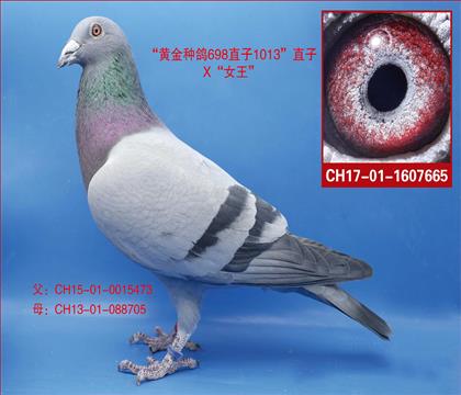 ���ף�Ů��ֱ��