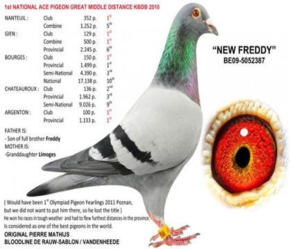 �游���¸��׵�