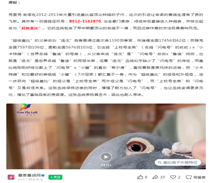 �����ǱȽ���