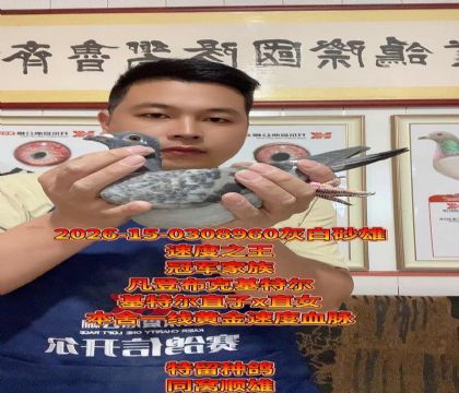 ���ض�ֱ��xֱŮ���߼���Ѫ����