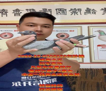 ���ǲ��˻��ض�ֱ��xֱŮ����Ѫ����