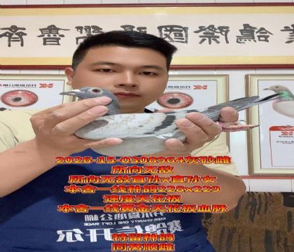 ����һ���컨��Ѫ���������޵л�Ѫ��ĸ