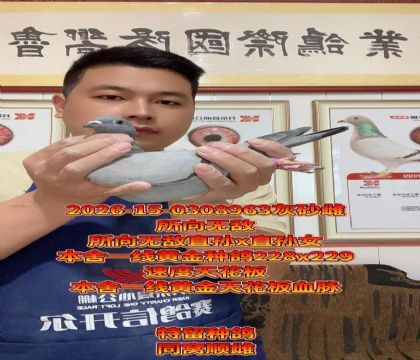 ����һ���컨��Ѫ���������޵л�ѪС��ĸ