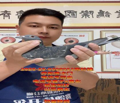 ɽ����������˹���ŵ����Ż�Ѫ����