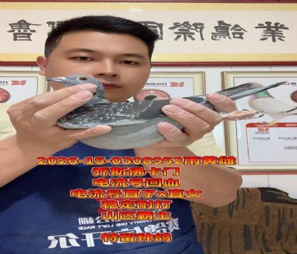 ɽ����������˹���ŵ����Ż�ѪС��ĸ