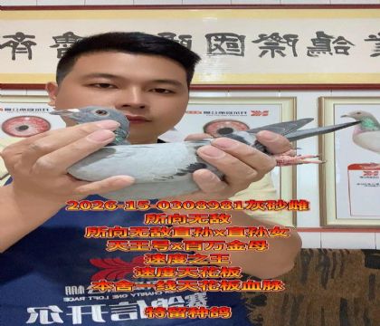 ����һ���컨��Ѫ���������޵�������ֱŮ