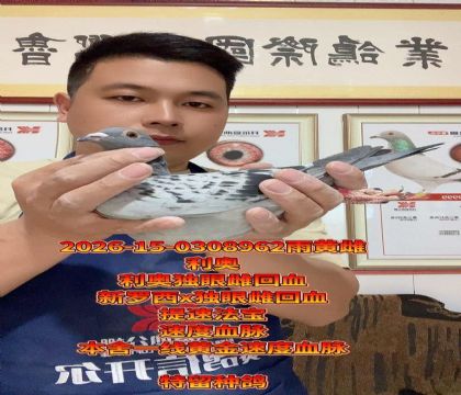 ���ٷ��������¶��۴ƻ�Ѫ��ĸ