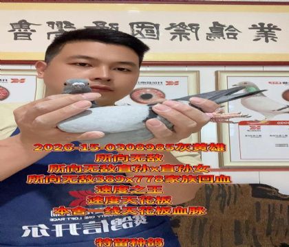 ����һ���컨��Ѫ���������޵л�Ѫ�߼�����