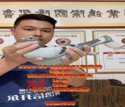 ������������Ի�Ѫ���ٶȸ߼�����