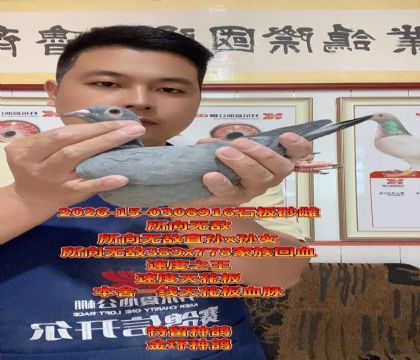 ����һ���컨��Ѫ���������޵л�Ѫʯ���ĸ