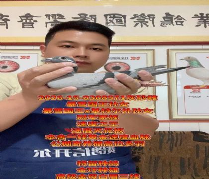 ��������ĸ����ѩ����ֱ��x���ض�����Ů