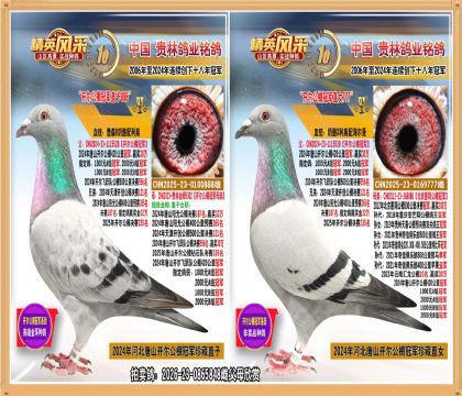 ��ɽ��������ھ�ֱ���俪������ھ�ֱŮ����.ƽ��Ӯ������