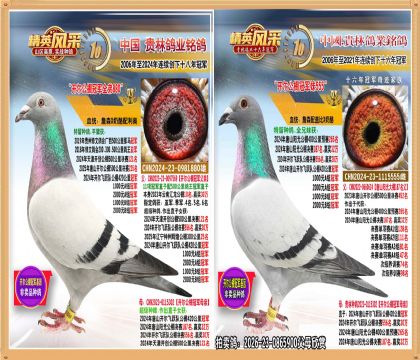 ��ɽ��������ھ�ȫ���俪������ھ����ý���.ƽ��Ӯ������