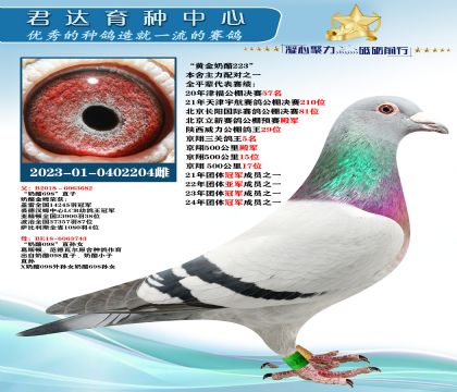 �𻷣����ƽ����ҡ�