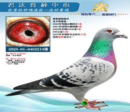 �𻷣�ղɭ�������к���֮��