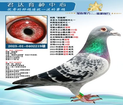 �𻷣����¡�����ӥ��