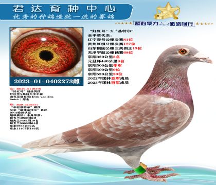 �𻷣����ú�š�X�����ض���