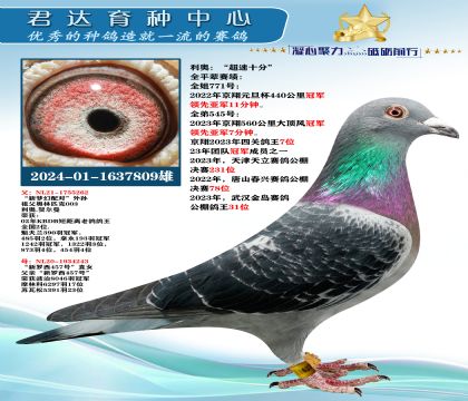 �𻷣����£�������ʮ�֡�