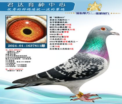 �𻷣��¡�����003��