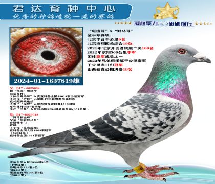 �𻷣��������š�X��Ұ���š�