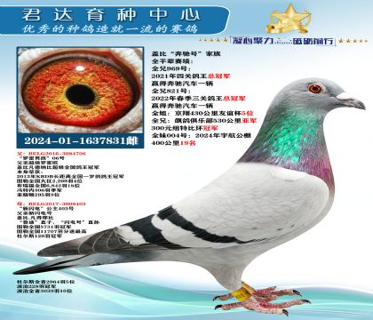 �𻷣��Ǳȡ����ۺš�����